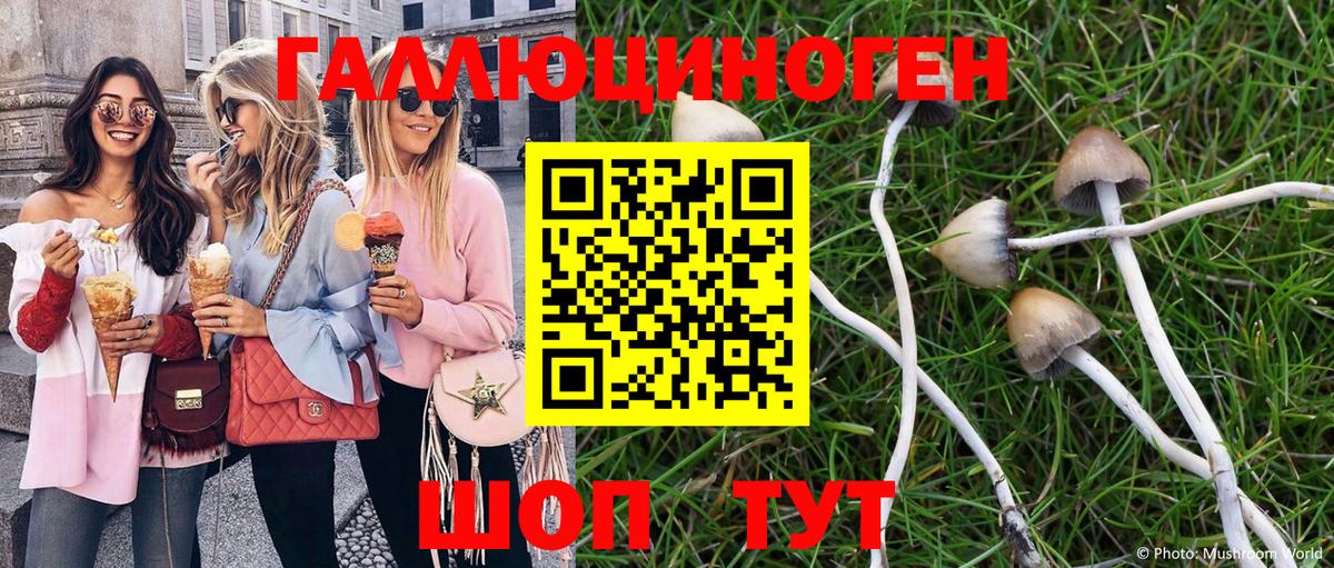 Псилоцибиновые грибы ЛСД Кириши
